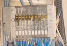 rbg-2